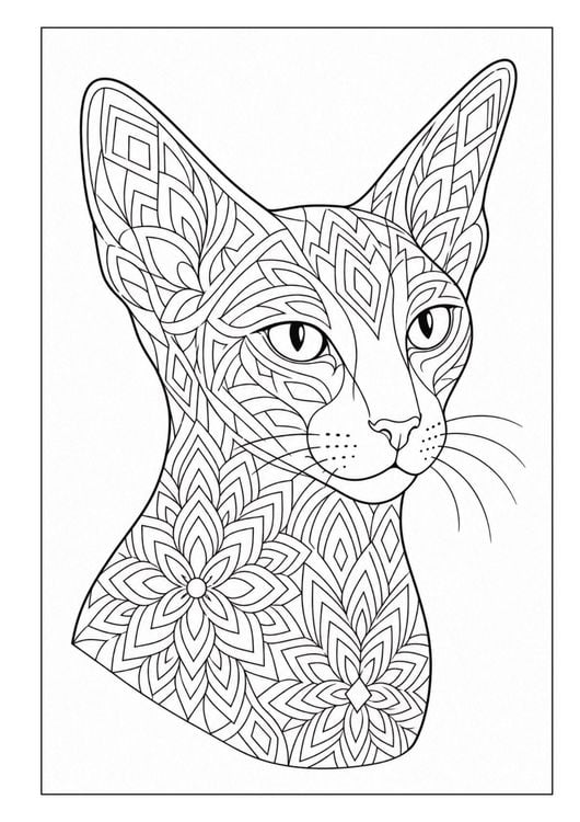 Produktbild: Mandala Malbuch Katzen f&uuml;r Kinder ab 8 Jahren, Teenager und Erwachsene mit 50 sch&ouml;nen Ausmalmotiven