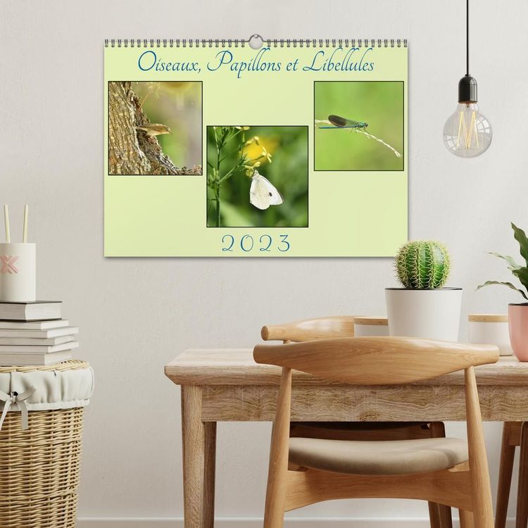 Produktbild: Oiseaux, Papillons et Libellules (Calendrier mural 2027 DIN A3 vertical), CALVENDO calendrier mensuel