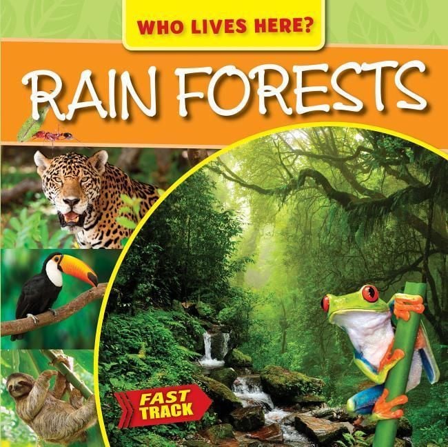 Produktbild: Rain Forests