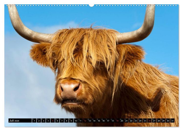 Produktbild: Schottland (Wandkalender 2026 DIN A2 quer), CALVENDO Monatskalender
