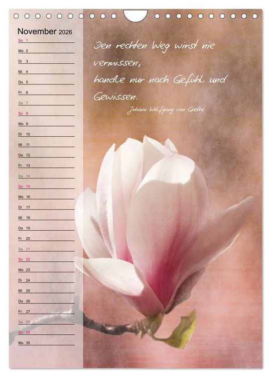 Produktbild: Blumen & Zitate / Geburtstagskalender (Wandkalender 2026 DIN A4 hoch), CALVENDO Monatskalender