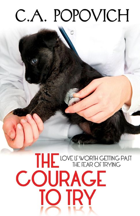 Produktbild: The Courage to Try