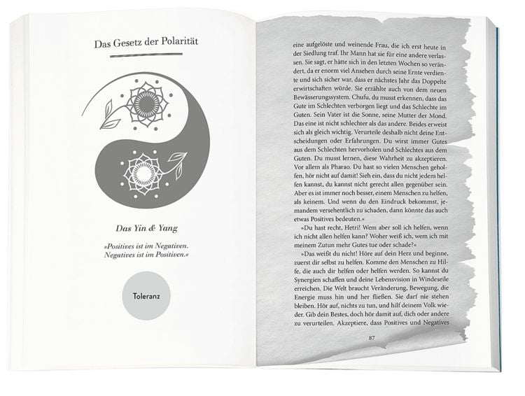 Produktbild: Higher Mind. Die Gesetze des Bewusstseins