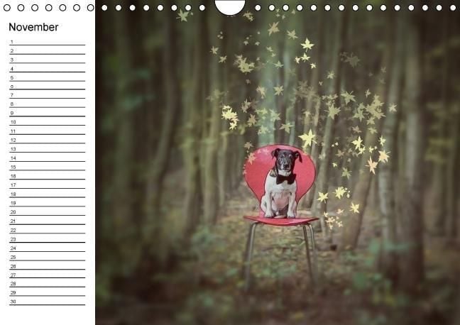 Produktbild: Jack Russell Terrier - Ein Verwandlungsk&uuml;nstler namens Jake / Geburtstagskalender (Wandkalender immerw&auml;hrend DIN A4 quer)