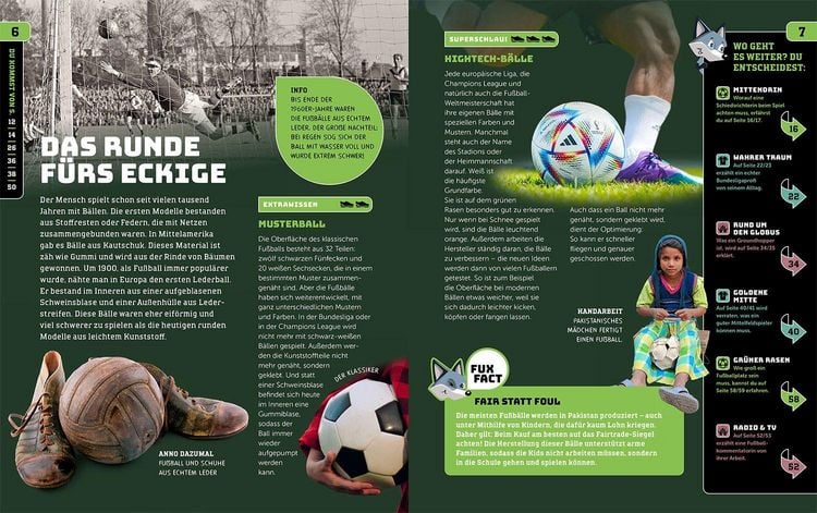 Produktbild: Kosmos SchlauFUX Fu&szlig;ball,