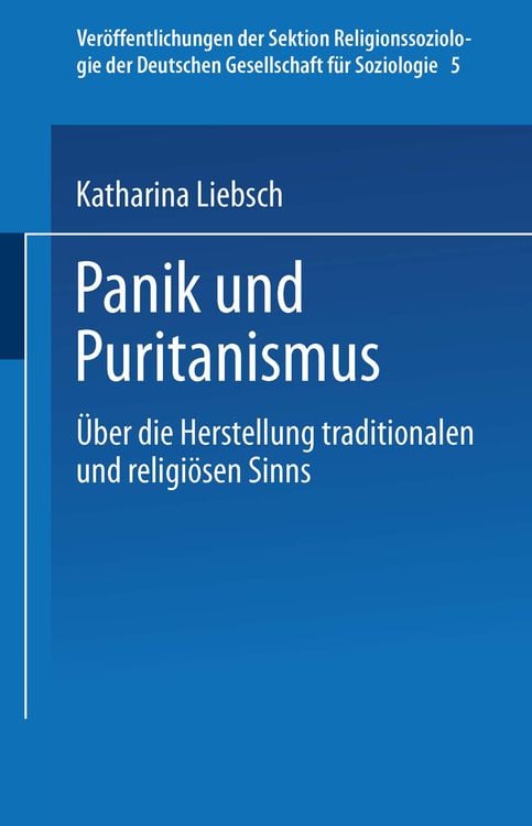 Produktbild: Panik und Puritanismus