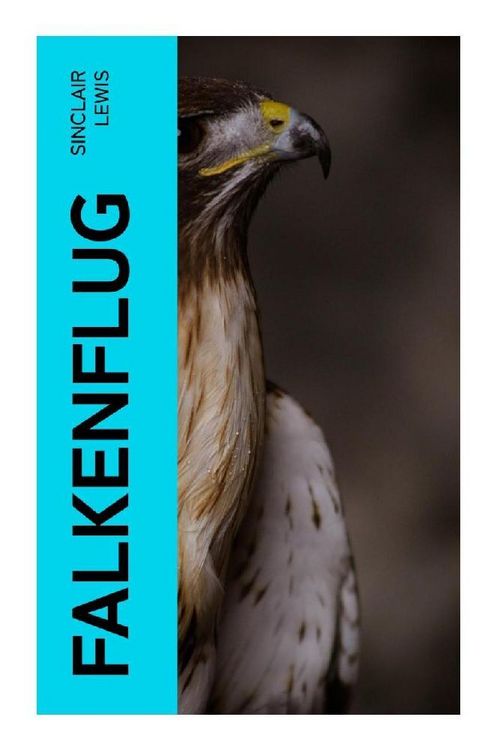 Produktbild: Falkenflug