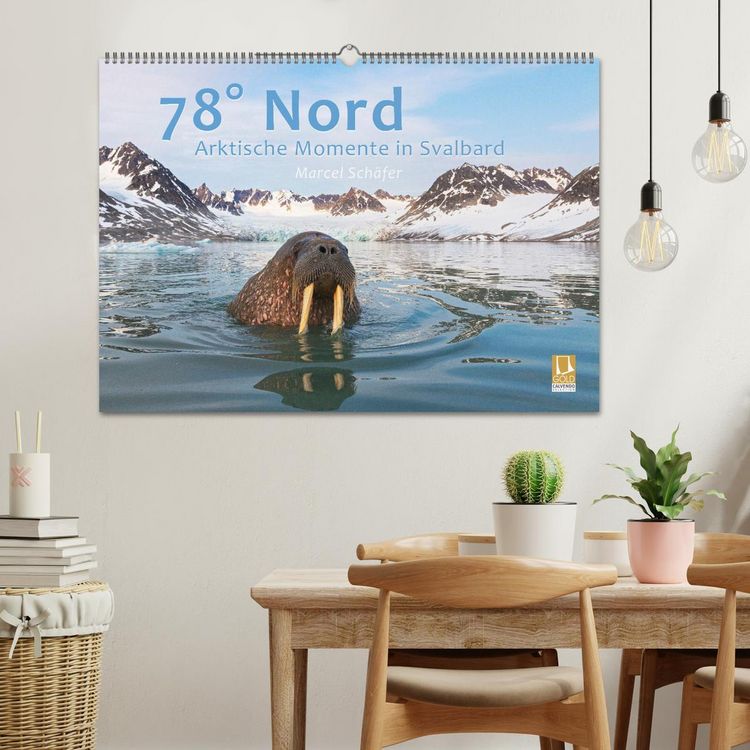 Produktbild: 78&deg; Nord - Arktische Momente in Svalbard (Wandkalender 2026 DIN A2 quer), CALVENDO Monatskalender