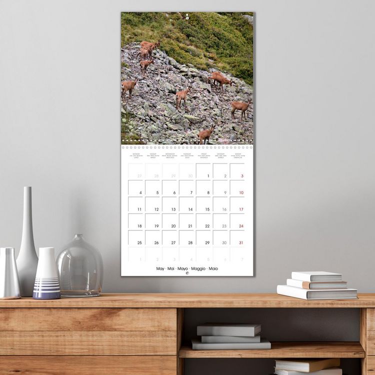 Produktbild: Deux &eacute;t&eacute;s en Vall&eacute;e d'Ossau (Calendrier mural carr&eacute; 2026 30x30 cm) Calendrier double avec une page pour vos prises de notes