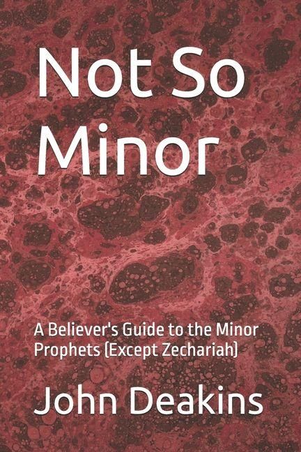 Produktbild: Not So Minor