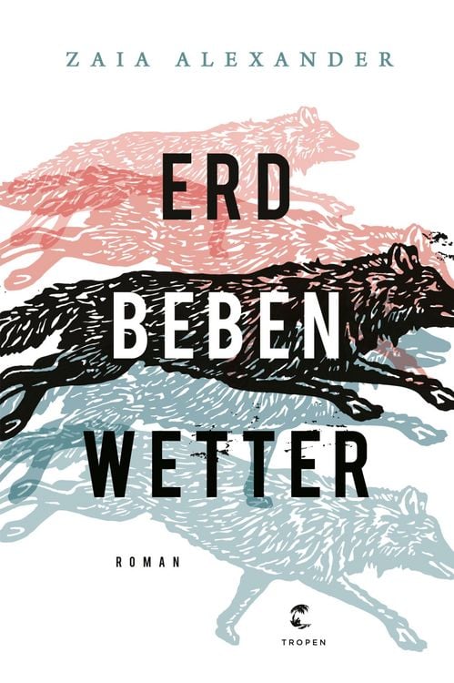 Produktbild: Erdbebenwetter