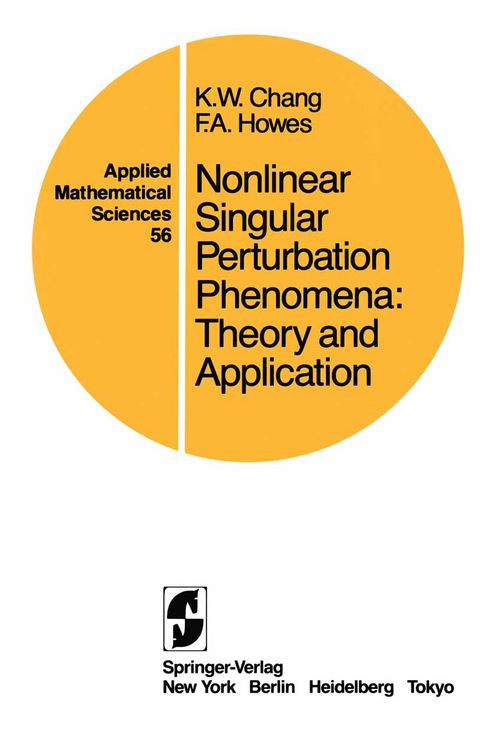 Produktbild: Nonlinear Singular Perturbation Phenomena