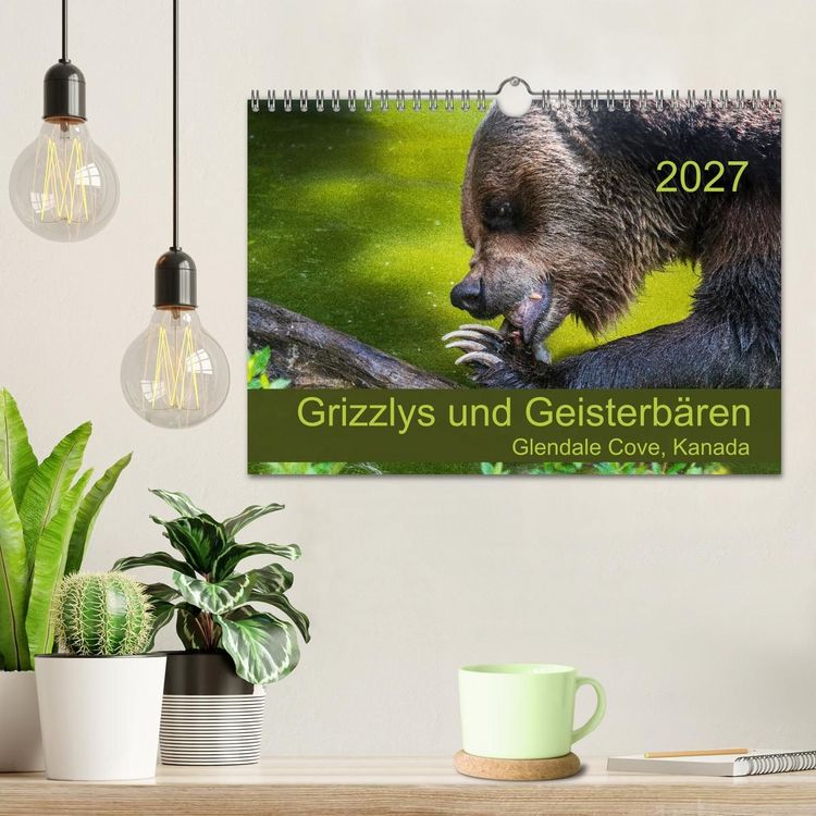 Produktbild: Grizzlys und Geisterb&auml;ren - Glendale Cove, Kanada (Wandkalender 2027 DIN A4 quer), CALVENDO Monatskalender