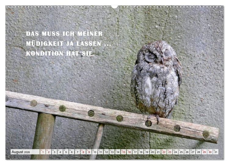 Produktbild: M&uuml;de, faul und arbeitsscheu (hochwertiger Premium Wandkalender 2026 DIN A2 quer), Kunstdruck in Hochglanz