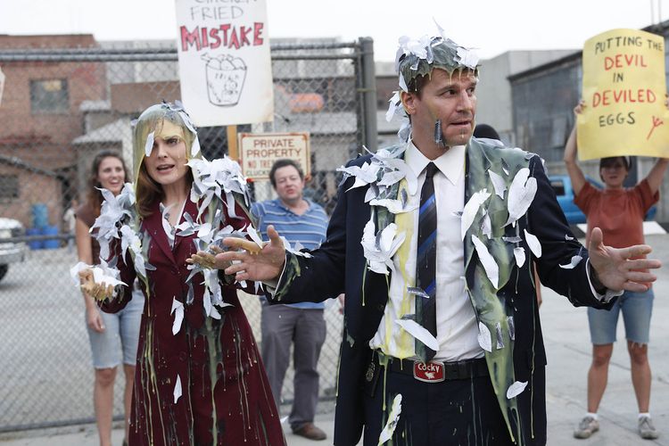 Produktbild: Bones - Season 5 [6 DVDs]