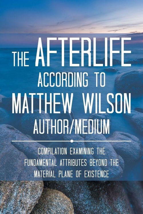 Produktbild: The Afterlife According to Matthew Wilson Author/Medium