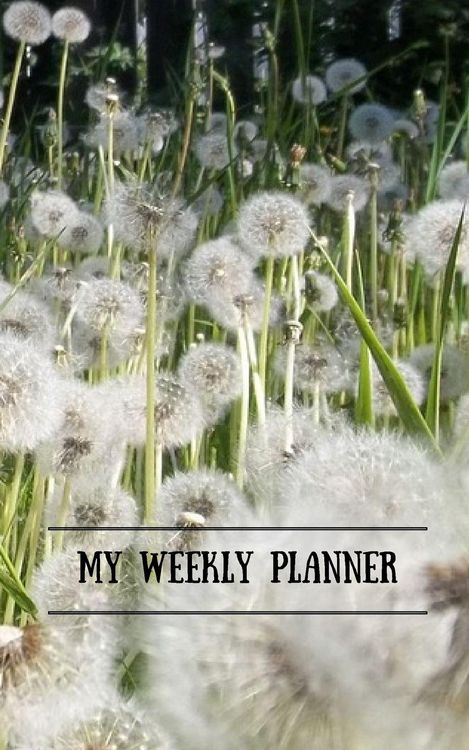 Produktbild: My Weekly Planner
