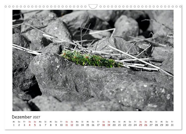 Produktbild: Gestrandet -Treibgut- (Wandkalender 2027 DIN A3 quer), CALVENDO Monatskalender