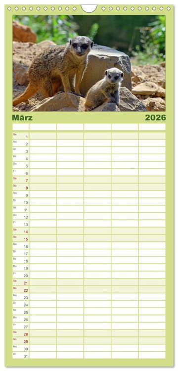 Produktbild: Familienplaner 2026 - Erdm&auml;nnchens Kinderstube mit 5 Spalten (Wandkalender, 21 x 45 cm) CALVENDO