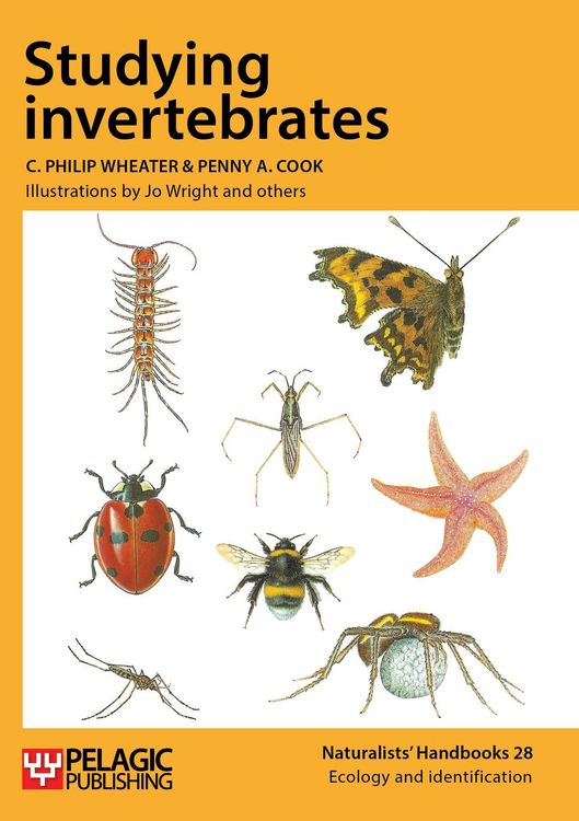 Produktbild: Studying Invertebrates