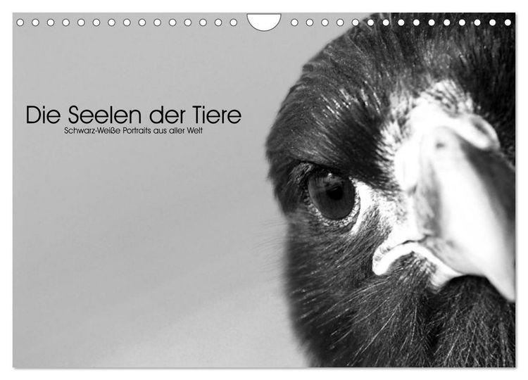 Produktbild: Die Seelen der wilden Tiere (Wandkalender 2026 DIN A4 quer), CALVENDO Monatskalender