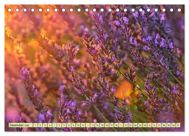 Produktbild: Traum-Ziele - Lavendel der Provence, Frankreich (Tischkalender 2026 DIN A5 quer), CALVENDO Monatskalender