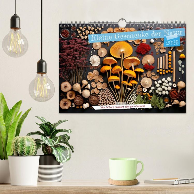 Produktbild: Kleine Geschenke der Natur (Wandkalender 2026 DIN A4 quer), CALVENDO Monatskalender