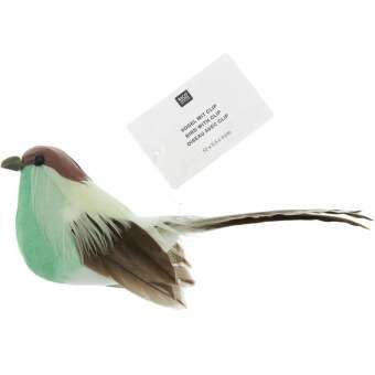 Produktbild: Vogel, T&uuml;rkis