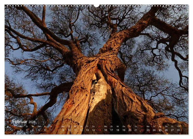 Produktbild: Zimbabwe (Wandkalender 2026 DIN A2 quer), CALVENDO Monatskalender