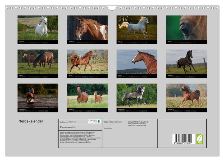 Produktbild: Pferdekalender (Wandkalender 2026 DIN A3 quer), CALVENDO Monatskalender