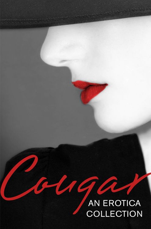 Produktbild: Cougar