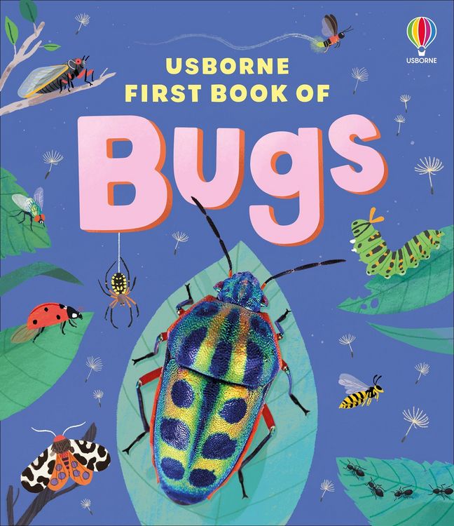 Produktbild: Usborne First Book of Bugs