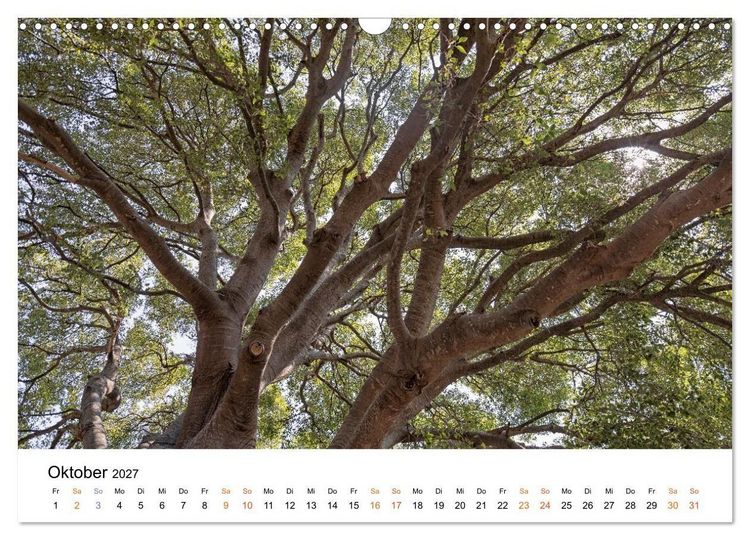 Produktbild: Mallorca - Paradies zwischen Himmel und Meer (Wandkalender 2027 DIN A3 quer), CALVENDO Monatskalender