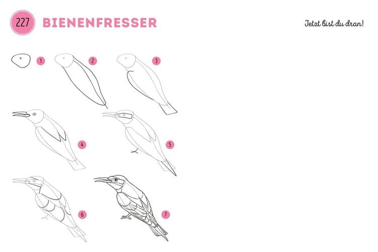 Produktbild: 300 Motive zeichnen &ndash;&nbsp;Tiere
