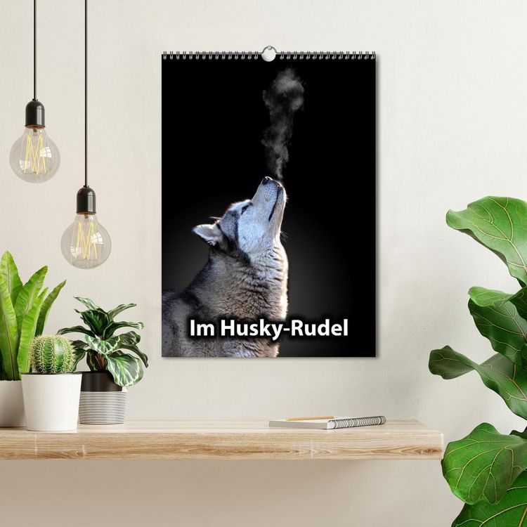 Produktbild: Im Husky-Rudel (Wandkalender 2026 DIN A3 hoch), CALVENDO Monatskalender