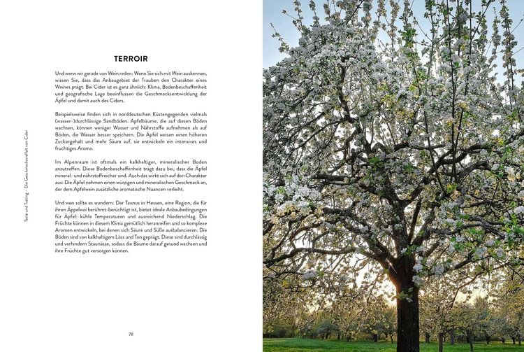 Produktbild: Cider
