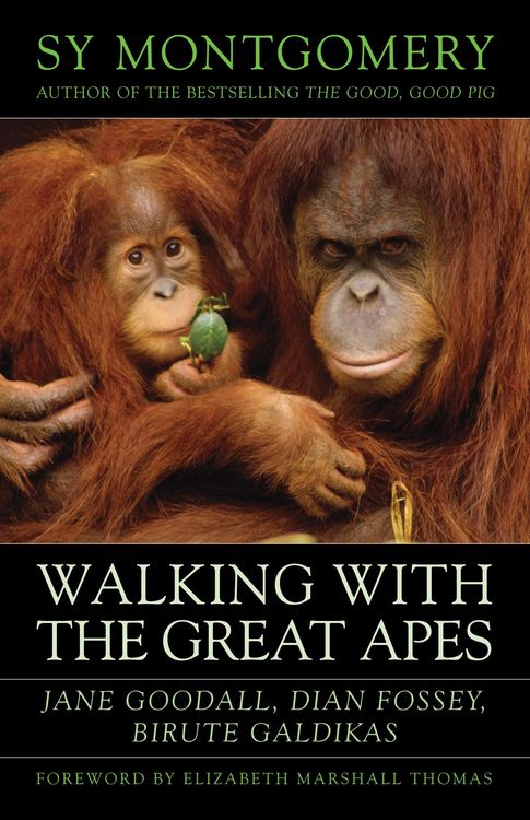 Produktbild: Walking with the Great Apes