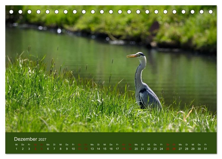Produktbild: Reiher in der Elbmarsch (Tischkalender 2027 DIN A5 quer), CALVENDO Monatskalender