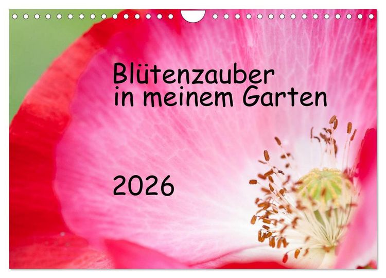 Produktbild: Bl&uuml;tenzauber in meinem Garten (Wandkalender 2026 DIN A4 quer), CALVENDO Monatskalender