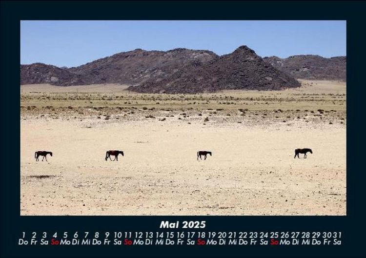 Produktbild: Pferdegefl&uuml;ster 2025 Fotokalender DIN A5