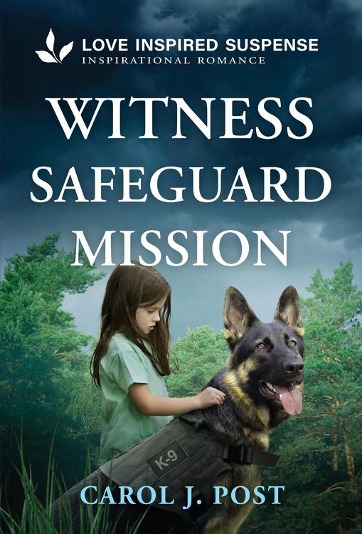 Produktbild: Witness Safeguard Mission