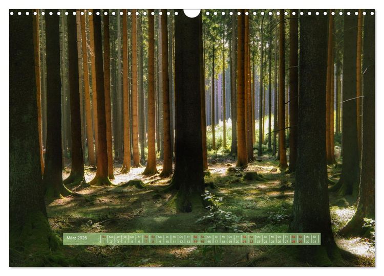 Produktbild: Zauber des Lichts (Wandkalender 2026 DIN A3 quer), CALVENDO Monatskalender