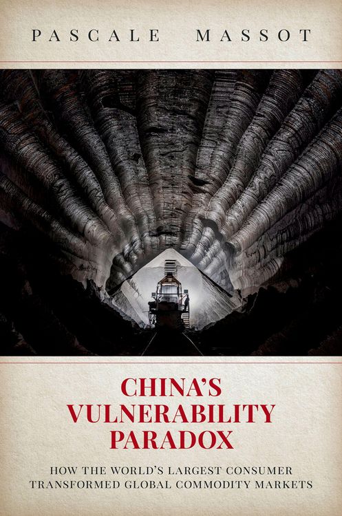 Produktbild: China's Vulnerability Paradox