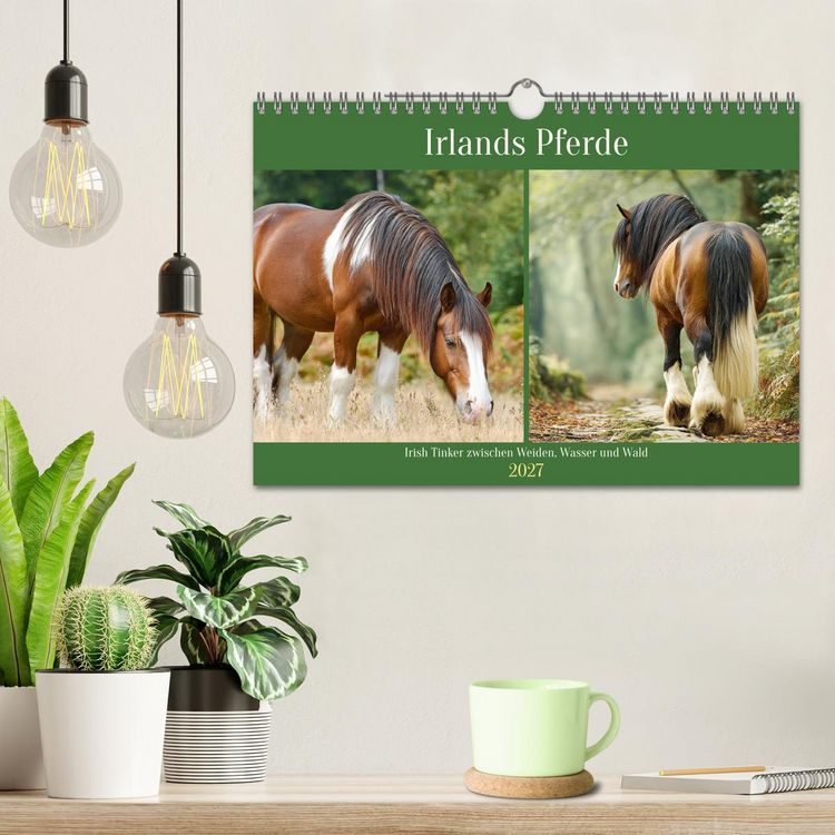 Produktbild: Irlands Pferde. Irish Tinker zwischen Weiden, Wasser und Wald (Wandkalender 2027 DIN A4 quer), CALVENDO Monatskalender