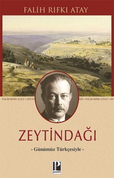 Produktbild: Zeytindagi - G&uuml;n&uuml;m&uuml;z T&uuml;rkcesiyle