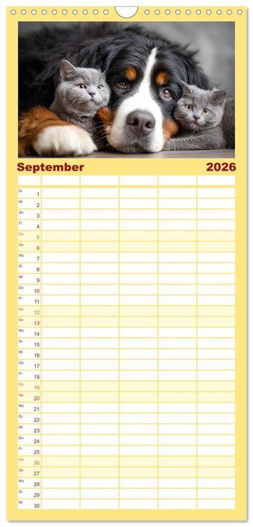 Produktbild: Familienplaner 2026 - Hund und Katze - Tierische Freunde mit 5 Spalten (Wandkalender, 21 x 45 cm) CALVENDO