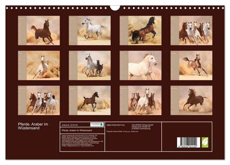 Produktbild: Pferde. Araber im W&uuml;stensand (Wandkalender 2026 DIN A3 quer), CALVENDO Monatskalender