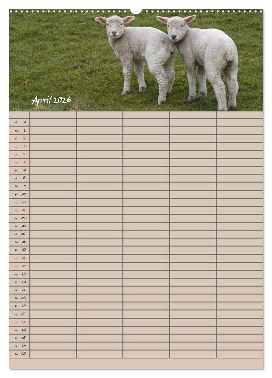 Produktbild: Der bel&auml;mmerte Familienplaner (Wandkalender 2026 DIN A2 hoch), CALVENDO Monatskalender