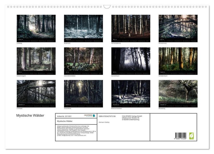 Produktbild: Mystische W&auml;lder (Wandkalender 2026 DIN A2 quer), CALVENDO Monatskalender