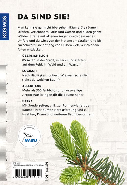 Produktbild: Die siehst du! B&auml;ume